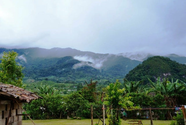 GUATEMALA ORGANIC RFA SMBC CHIMALTENANGO FINCA SANTA RITA SHB EP - *46932* - 23928 - SPOT RCWHSE