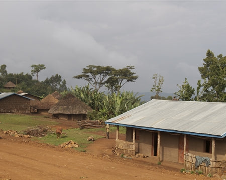 Ethiopia Guji 3 Natural - 35960 - GrainPro Bags - SPOT SHANGHAI