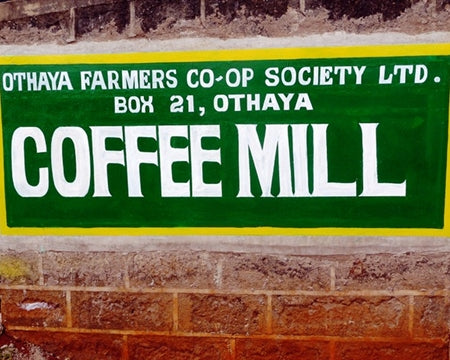 Kenya FT-FLO Nyeri Othaya Gura AA - 18TY0006 - 33554 - GrainPro Bags - SPOT RCWHSE