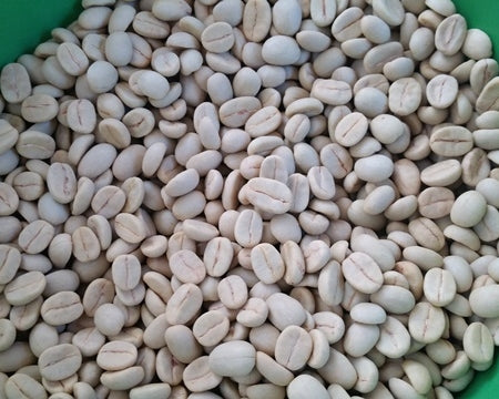GUATEMALA FT-FLO ORGANIC SAN MARCOS SHB EP - *52456* - 26841-2 - SPOT COSEATAC