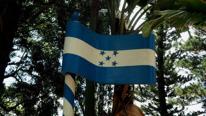 Honduras Ocotepeque SHG EP - 35171 - SPOT RCWHSE