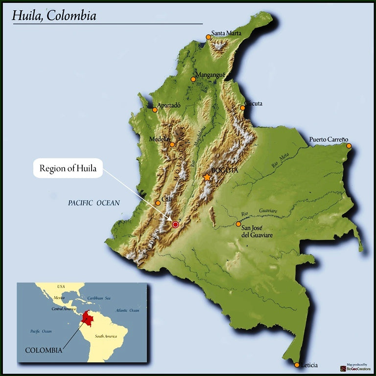 Colombia Huila Women's Coffee EP - 36011-1 - 69.6 kg GrainPro Bags - SPOT COMIDWEST