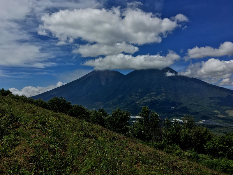 Guatemala Antigua Bella Carmona Hunapu - *52718* - 26759-1 - 46.0 kg GrainPro Bags - SPOT RCWHSE