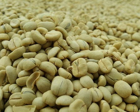 Kenya Nyeri Othaya Karuthi AA - 11TY0017 - 36860 - GrainPro Bags - SPOT RCWHSE
