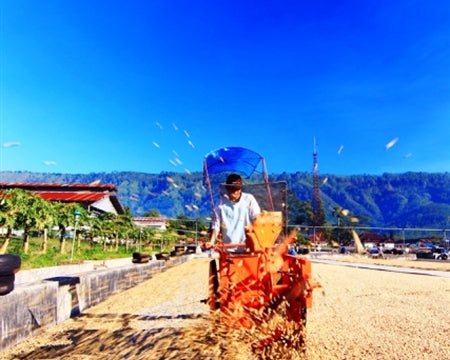 Java Blawan Awp-1 - 33606-7 - SPOT COMIDWEST