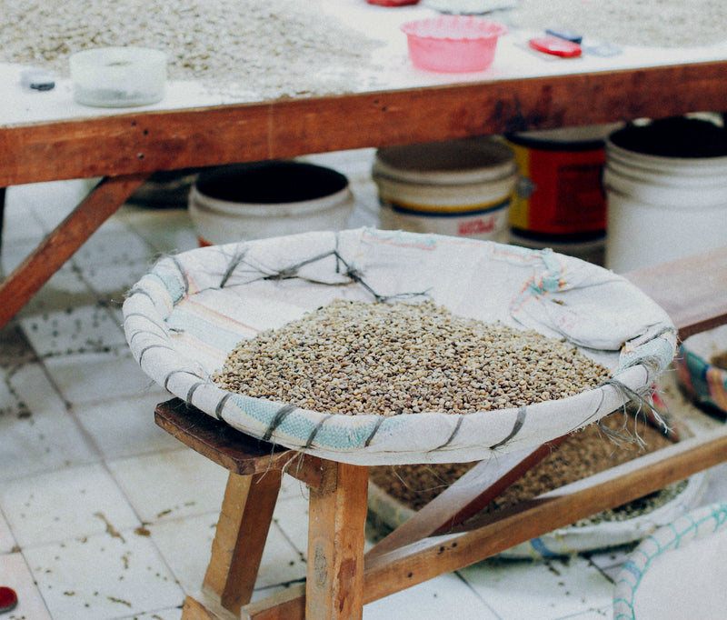 Sumatra Takengon IKA Mandheling Grade 1 - 29434 - SPOT RCWHSE