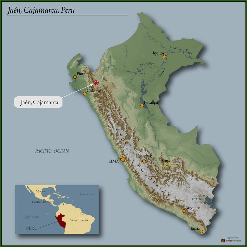 PERU ORGANIC SELVA ANDINA - 31867 - SPOT RCWHSE