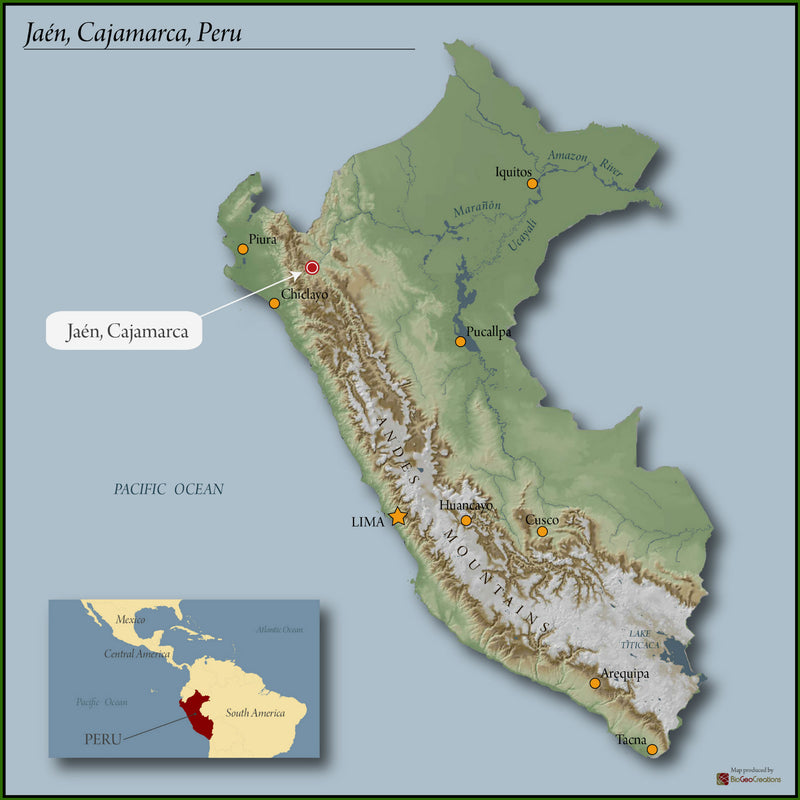 PERU FT-USA ORGANIC SELVA ANDINA - 34826-2 - SPOT DUPUYHOU