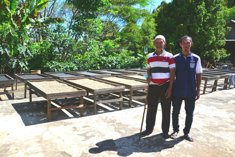JAVA FT-FLO ORGANIC KAYUMAS SURYA ABADI - *51258* - 25771 - GrainPro Bags - SPOT RCWHSE