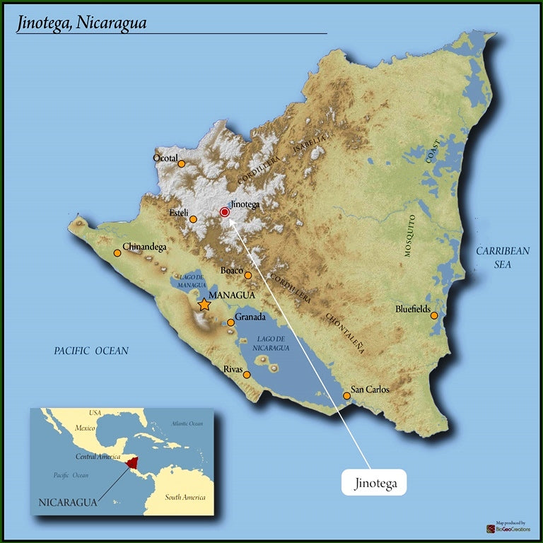 NICARAGUA ORGANIC JINOTEGA PARAISO SHG EP - 37235 - Ecotact Bags - SPOT RCWHSE