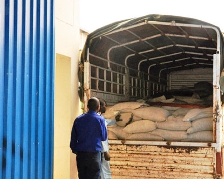 Kenya Nyeri Kaiguri AA - 44KE2000 - 35179 - GrainPro Bags - SPOT RCWHSE