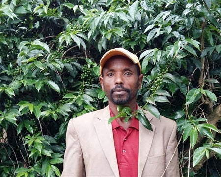 ETHIOPIA YIRGACHEFFE 1 NATURAL ORGANIC WORKA CHELBESA KEBEDE WAKO - 28199-1 - GrainPro Bags - SPOT RCWHSE