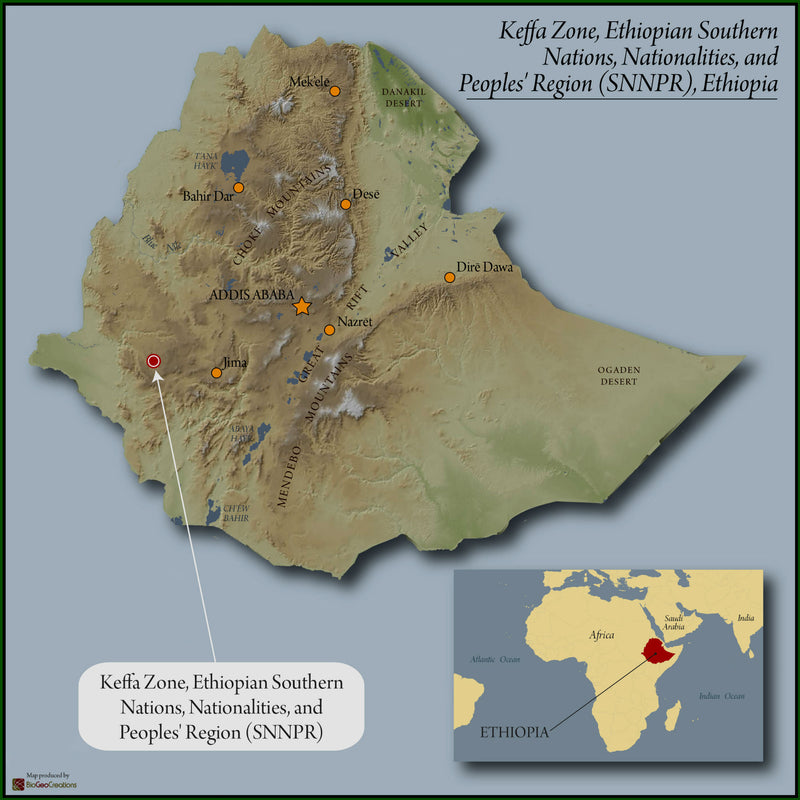 Ethiopia Kaffa Natural Gesha - 37771 - Ecotact Bags - SPOT SHANGHAI