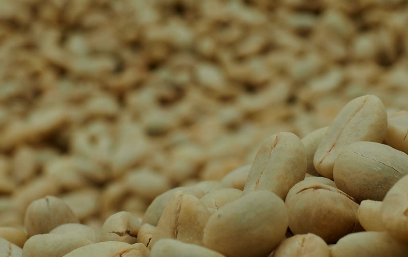 ETHIOPIA SIDAMA 2 WASHED ORGANIC BOKASO - 33302 - GrainPro Bags - SPOT RCWHSE