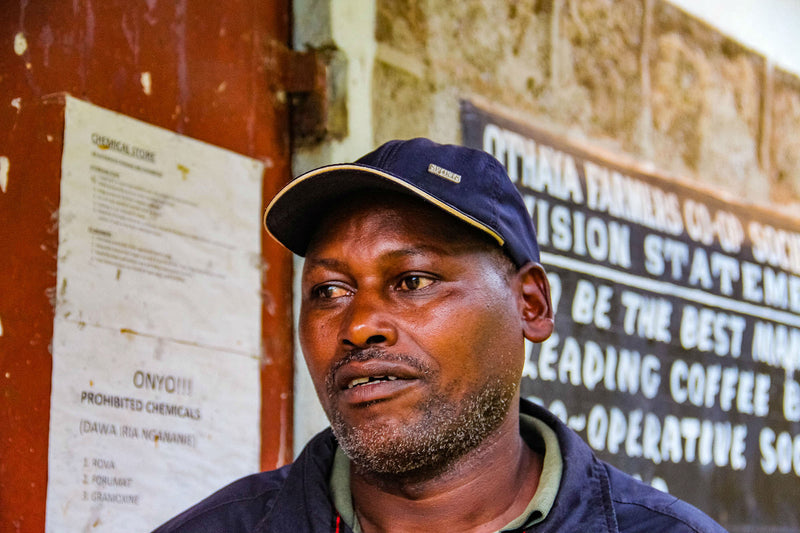 Kenya Nyeri Othaya Chinga Peaberry - 14TY0006 *49675* - 25671 - GrainPro Bags - SPOT RCWHSE