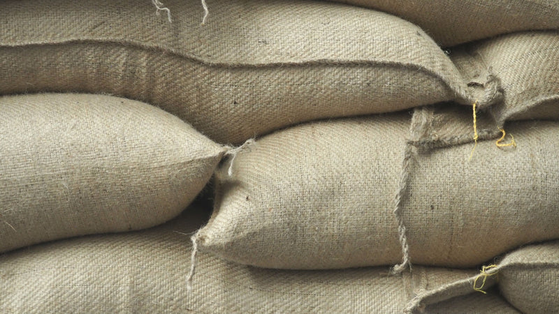 Kenya Nyeri Othaya Thunguri AA - 10TY0002 *52541* - 27166 - GrainPro Bags - SPOT RCWHSE
