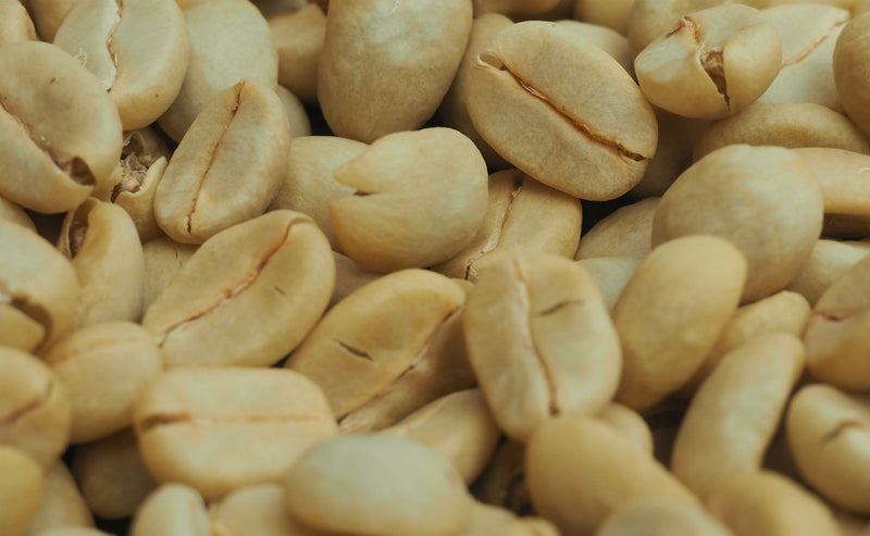 Kenya Nyeri Ndurutu AA - 01TY0001 - 35707 - GrainPro Bags - SPOT RCWHSE