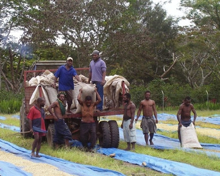 Papua New Guinea Kimel Estate X - *51615* - 24942 - Ecotact Bags - SPOT RCWHSE