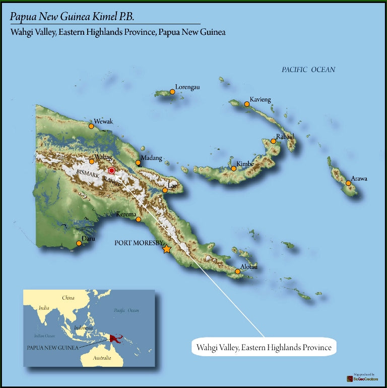 Papua New Guinea Kimel Estate AA - *51613* - 24939 - Ecotact Bags - SPOT RCWHSE
