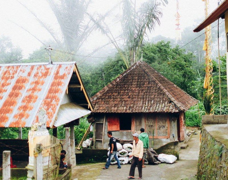 BALI ORGANIC KINTAMANI NATURAL - *50678* - 25767 - GrainPro Bags - SPOT RCWHSE
