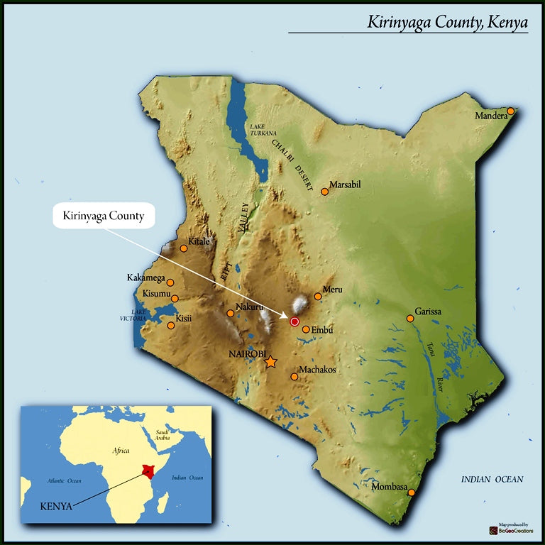 Kenya Kirinyaga Rungeto Kii AB - 12KN0026 - 33488 - GrainPro Bags - SPOT RCWHSE