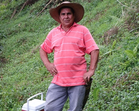 COLOMBIA ORGANIC RFA-IP SMBC SIERRA NEVADA LA CABANA - *50639* - 24472 - 70.1 kg Bags - SPOT RCWHSE