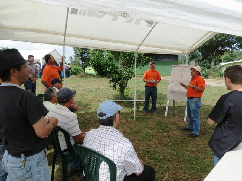 Costa Rica Los Santos Tarrazu SHB EP - 28059-4 - GrainPro Bags - SPOT COSEATAC