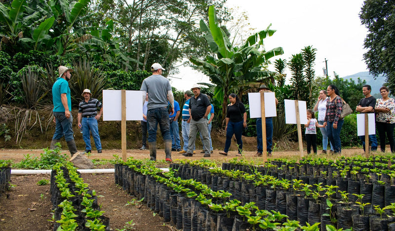 Costa Rica Tarrazu La Pastora SHB EP - *51708* - 23840-2 - SPOT DUPUYHOU