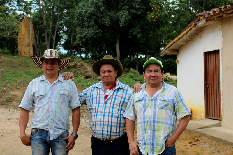 COLOMBIA ORGANIC RFA SMBC SANTANDER LA PRADERA NATURAL - *50245* - 25031 - 70.2 kg GrainPro Bags - SPOT RCWHSE