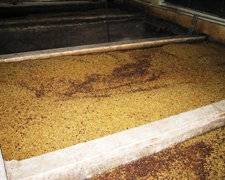 Guatemala Antigua Los Volcanes SHB EP - 33216 - Ecotact Bags - SPOT RCWHSE