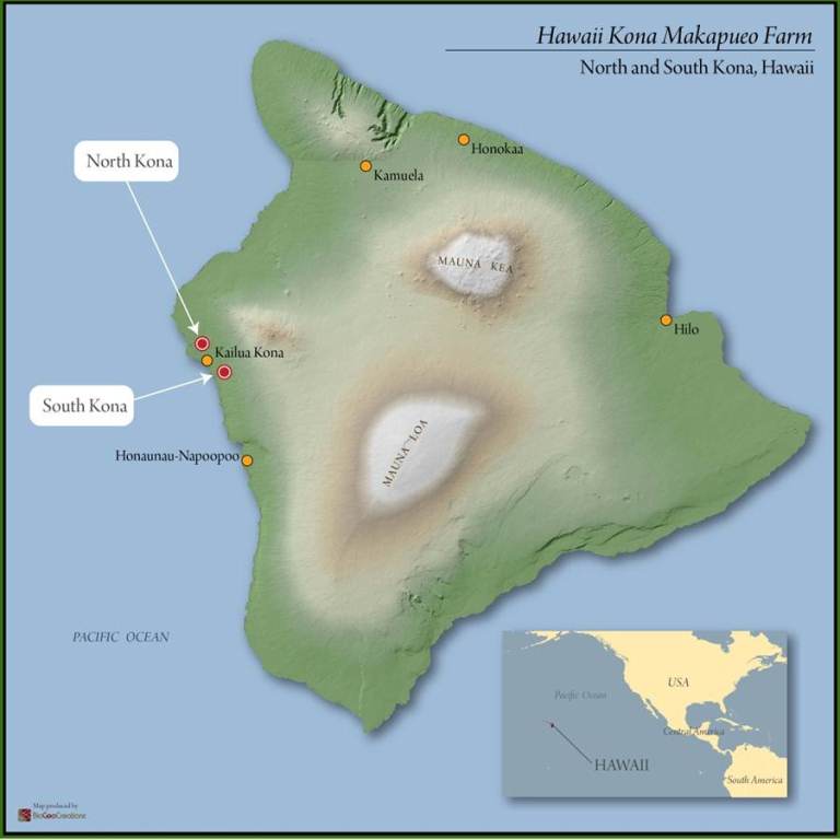 Hawaii Kona Extra Fancy - 29100 - GrainPro Bags - SPOT RCWHSE
