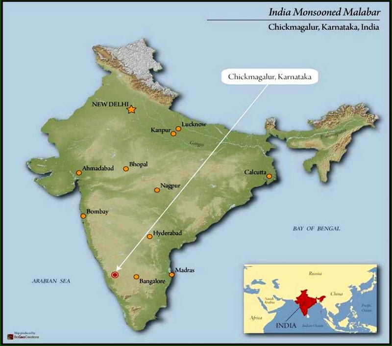 India Monsoon Malabar AA - *48090* - 24462 - SPOT RCWHSE