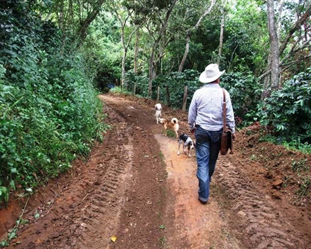Colombia Medellin Supremo 17/18 - 33858-1 - 70.0 kg Ecotact Bags - SPOT COMIDWEST