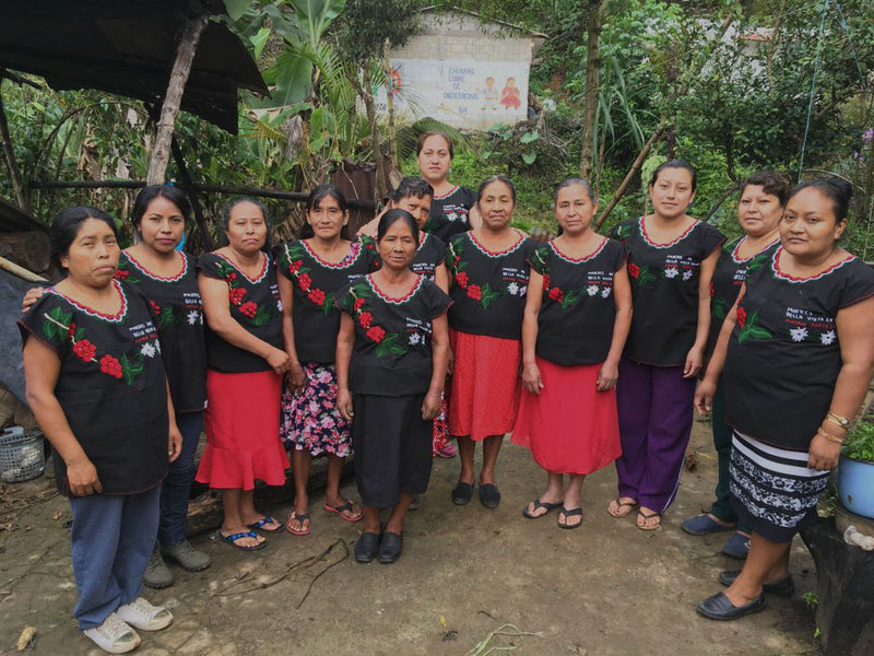 Mexico Chiapas Mayan Harvest Women's Group - 30706-1 - GrainPro Bags - SPOT DUPUYHOU
