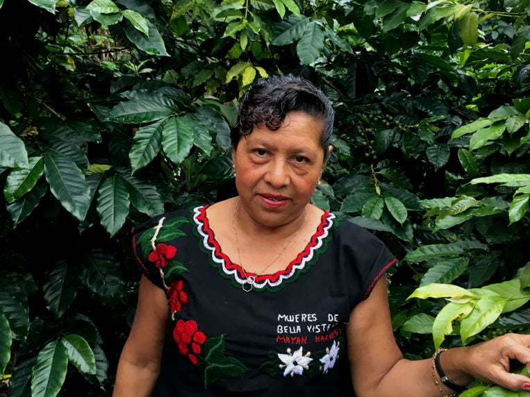 Mexico Chiapas Mayan Harvest Women's Group - *50237* - 25024 - GrainPro Bags - SPOT RCWHSE