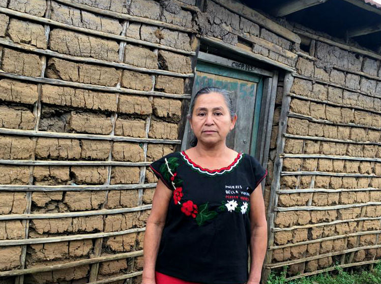Mexico Chiapas Mayan Harvest Women's Group - 30706-1 - GrainPro Bags - SPOT DUPUYHOU