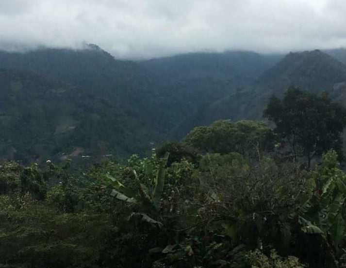 Mexico Chiapas Bella Vista Mayan Harvest - *49189* - 23925 - SPOT RCWHSE