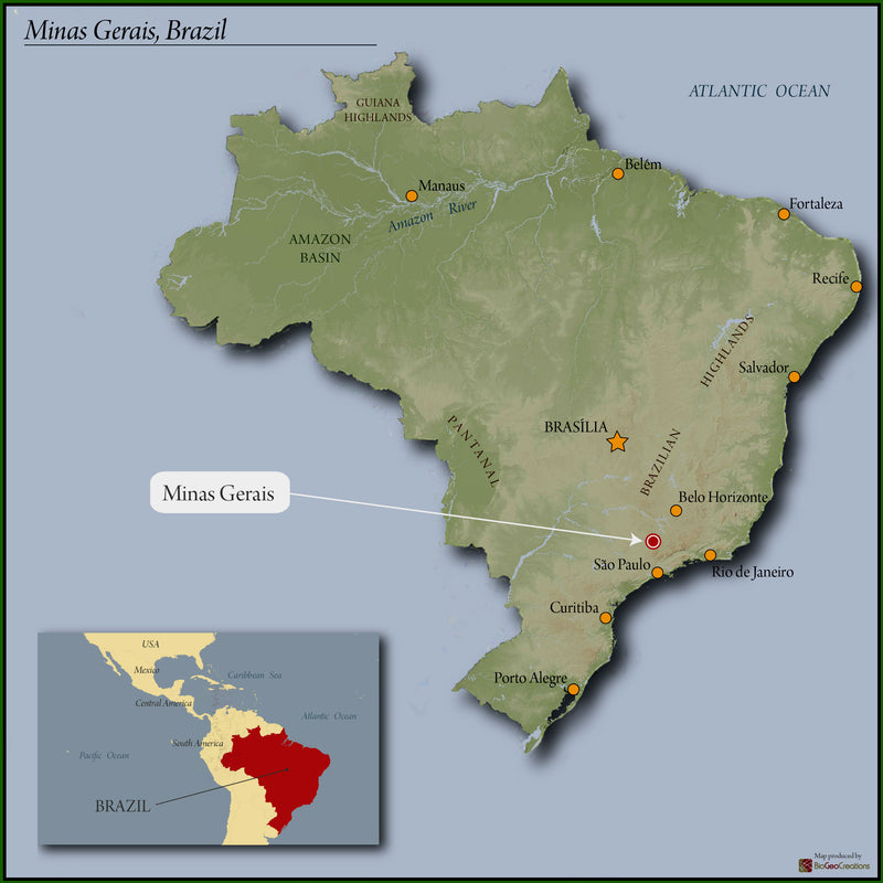 BRAZIL ORGANIC FAZENDA DUTRA PULPED NATURAL CATUAI 15+ - 29716 - Videplast Bags - SPOT RCWHSE