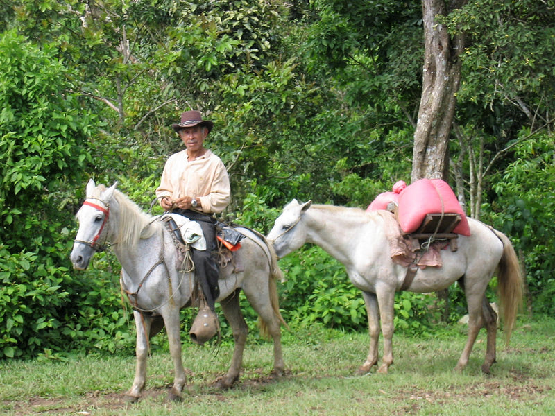 NICARAGUA FT ORGANIC MIRAFLOR SHG EP - *49338W2* - 27400 - Ecotact Bags - SPOT COSEATAC