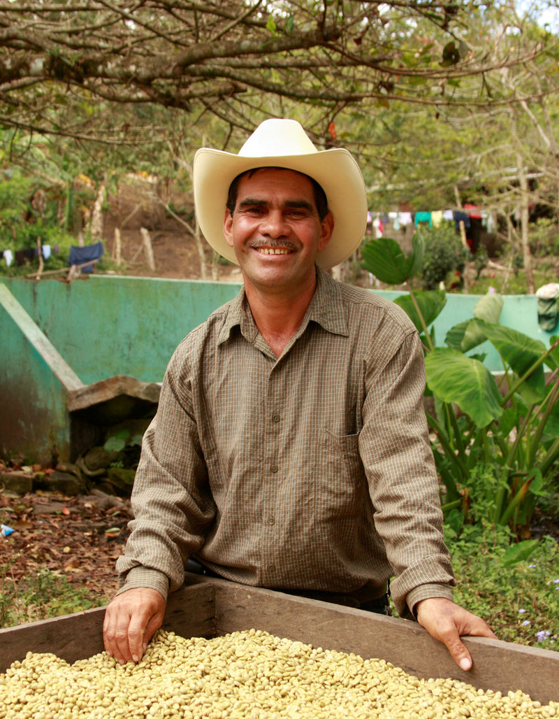 NICARAGUA FT ORGANIC SABOR DE SEGOVIA SHG EP - *49439* - 24861 - Ecotact Bags - SPOT RCWHSE