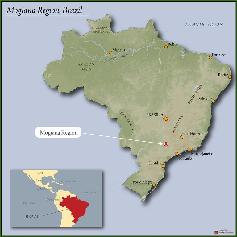 Brazil Alta Mogiana SS FC 15/16 - 39810 - November 2026 Shipment - RCWHSE