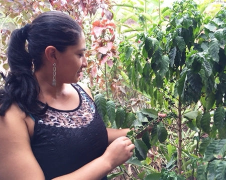 NICARAGUA ORGANIC GRUPO EDEN FINCA LOS MONOS - *50276* - 23655 - Ecotact Bags - SPOT RCWHSE