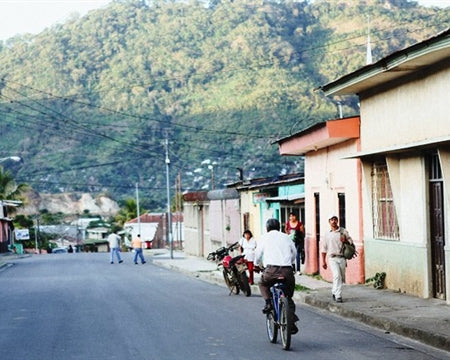 NICARAGUA ORGANIC GRUPO EDEN FINCA LOS MONOS - *50276* - 23655 - Ecotact Bags - SPOT RCWHSE