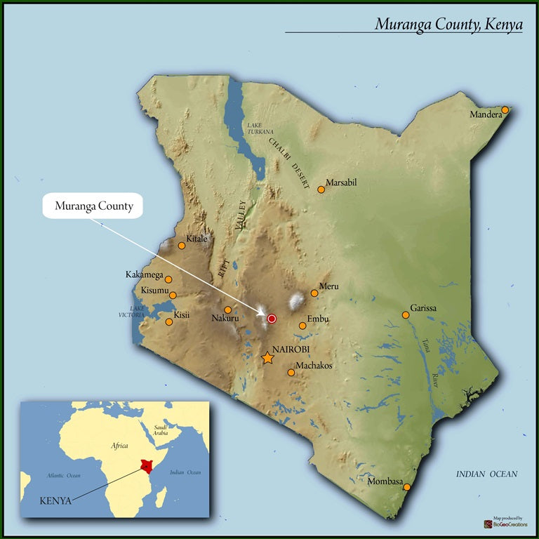 Kenya Muranga New Kiriti Gondo Peaberry - 13KF0005  *52817* - 27097-2 - 10.0 kg Boxes - SPOT RCWHSE