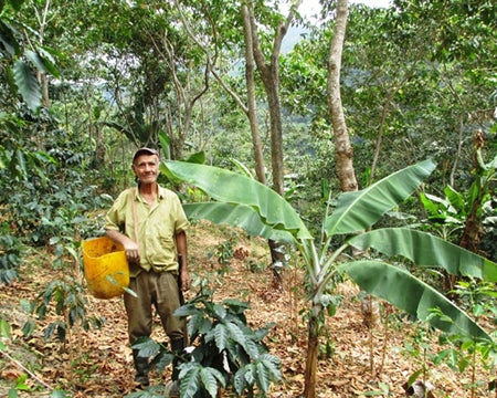 Colombia Narino Excelso EP - 35233 - 69.9 kg Bags - SPOT SEAFORTH