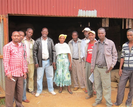 ETHIOPIA YIRGACHEFFE 4 NATURAL FT ORGANIC HAFURSA - *52571* - 27236 - GrainPro Bags - SPOT RCWHSE