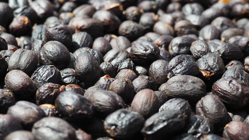 Ethiopia Yirgacheffe 1 Natural Gedeb Worka Sakaro Gebanesh Gulufa - 28855-2 - GrainPro Bags - SPOT DUPUYHOU