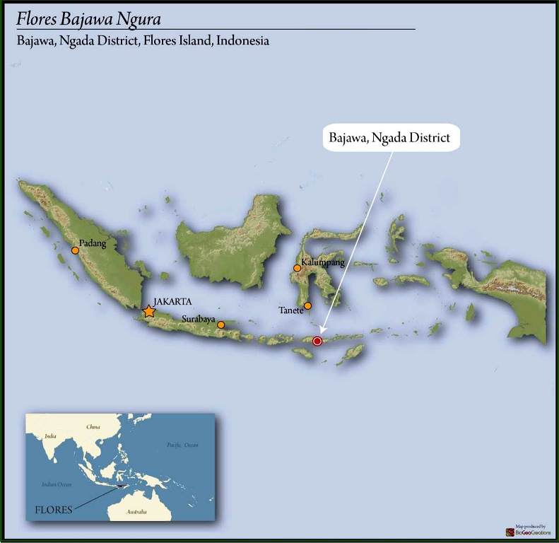 FLORES ORGANIC BAJAWA NGURA WET HULLED - 34821-2 - GrainPro Bags - SPOT COMIDWEST