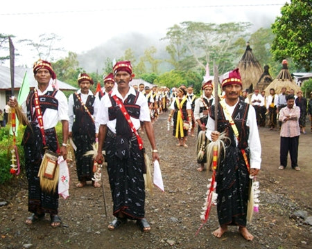 FLORES ORGANIC BAJAWA NGURA WET HULLED - 34821 - GrainPro Bags - SPOT RCWHSE