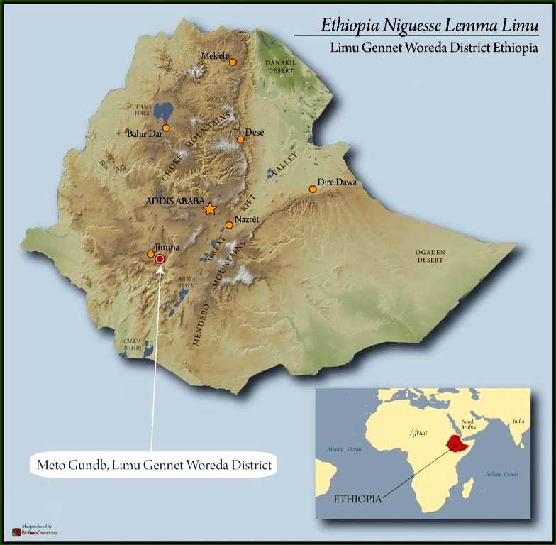 Ethiopia Limu 3 Natural Nigusse Lemma - 29014 - GrainPro Bags - SPOT RCWHSE